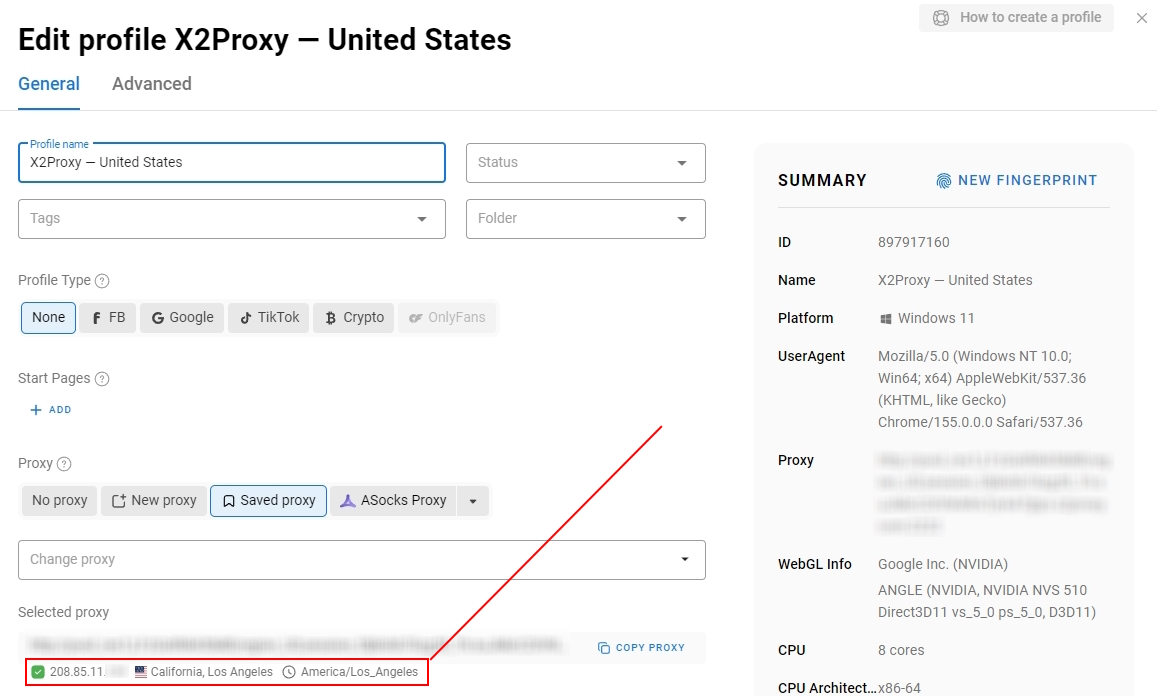 IP lookup inside the configured browser showing the observed proxy exit, country, and network.